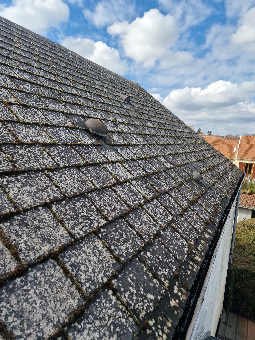 Toiture en ardoises présentant mousses et lichens